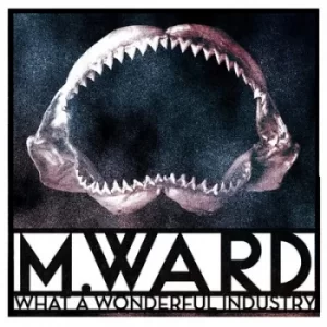 Image of What a Wonderful Industry by M. Ward Vinyl Album