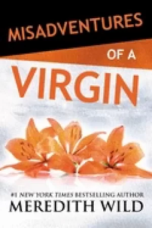 Image of misadventures of a virgin