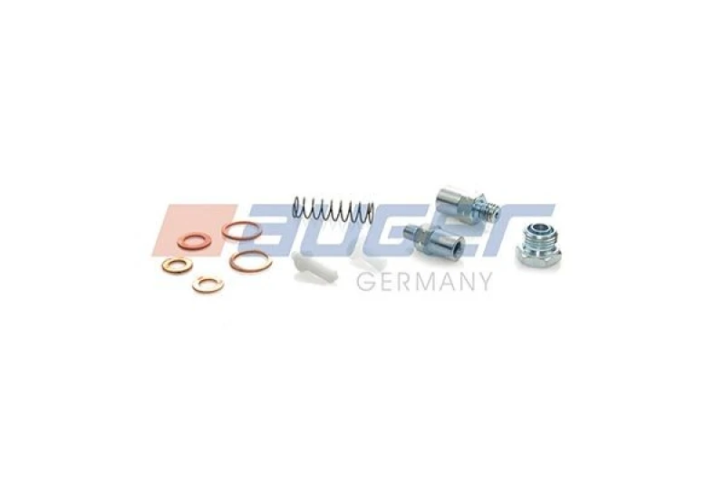 Image of AUGER 76021 Repair Kit, fuel pump Repair Kit,fuel pump (613)