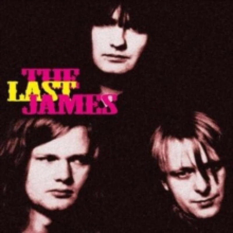 Image of The Last James Vinyl