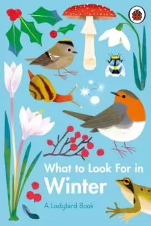 Image of What to Look For in Winter