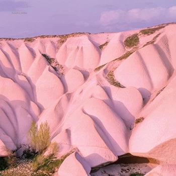 Image of Autechre - Amber Vinyl