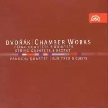 Image of Chamber Works (Panocha Quartet)