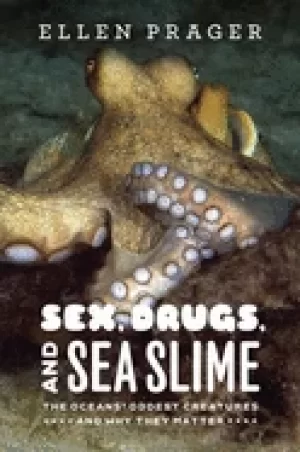 Image of sex drugs and sea slime the oceans oddest creatures