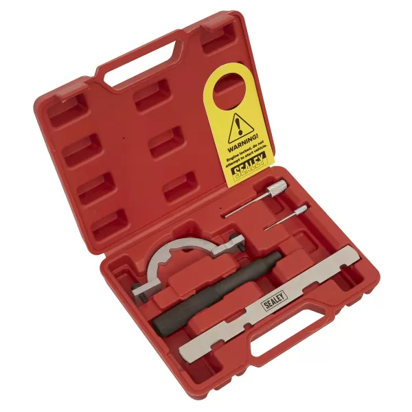 Image of Sealey VSE243 Petrol Engine Setting/Locking Kit Chain Drive