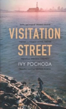 Image of Visitation Street by Ivy Pochoda Paperback