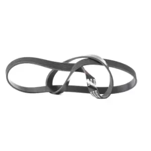 Image of RIDEX V-ribbed belt FIAT,SUZUKI,MINI 305P0224 55203815,55203815,55203815 Serpentine belt,Auxiliary belt,Poly V-belt,Ribbed belt,Multi V-belt,Poly belt