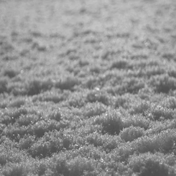 Image of Paysage D'Hiver - Im Traum CD