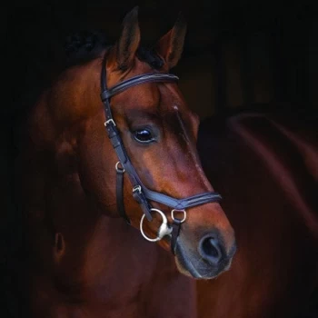 Image of Rambo Micklem Competition Bridle - Black