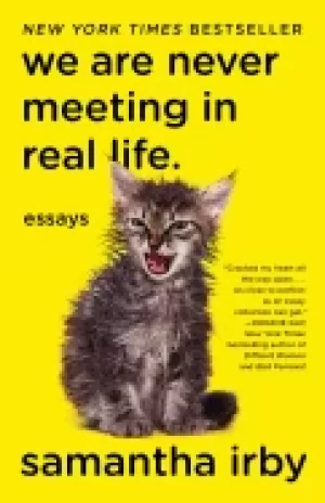 Image of we are never meeting in real life essays