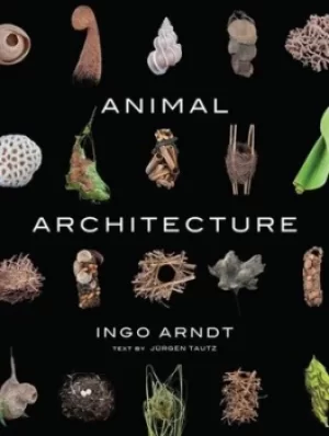 Image of Animal architecture by Ingo Arndt