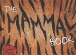 Image of The Mammal Book by Barbara Taylor Hardback