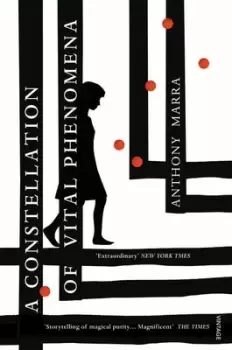 Image of A constellation of vital phenomena - Anthony Marra - Paperback - Used