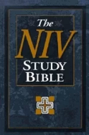 Image of niv study bible personal size
