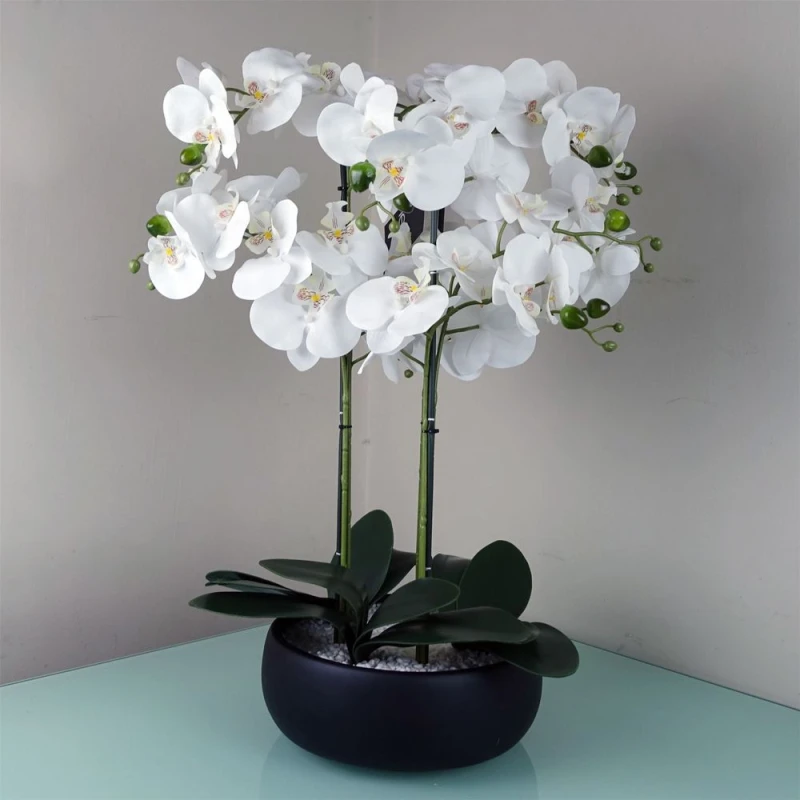 Image of Leaf Orchid Artificial White Black Ceramic Planter Botanik Green