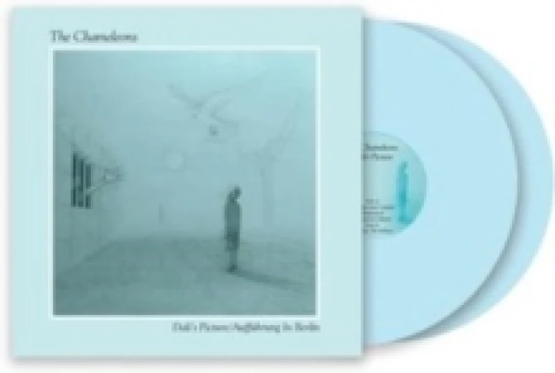 Image of Dali's Picture/Auffhrung in Berlin Vinyl