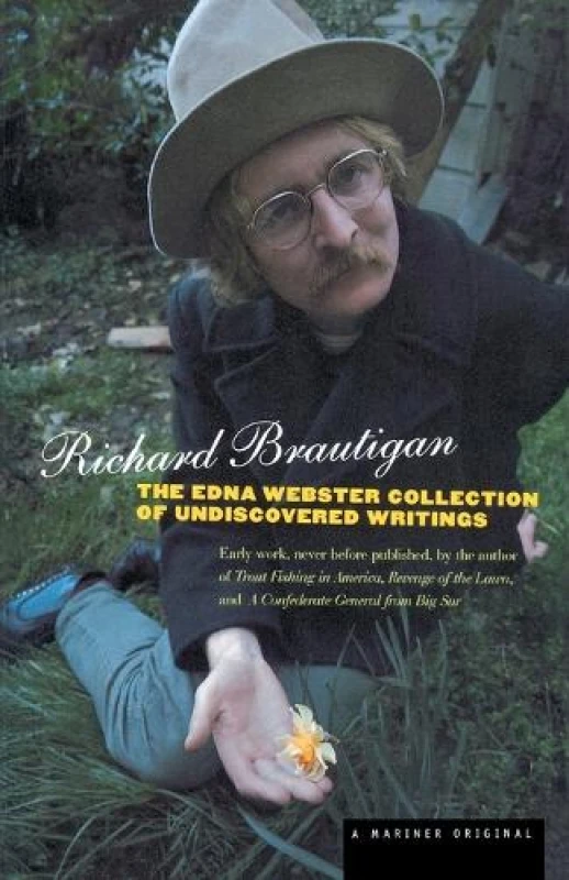 Image of edna webster collection of undiscovered writings 9780395974698