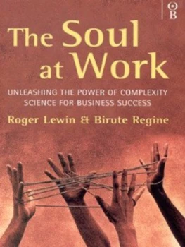 Image of The Soul at Work by Roger a Lewin and Birute Regine Hardback
