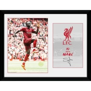 image of Liverpool Sadio Mane 18/19 Collector Print