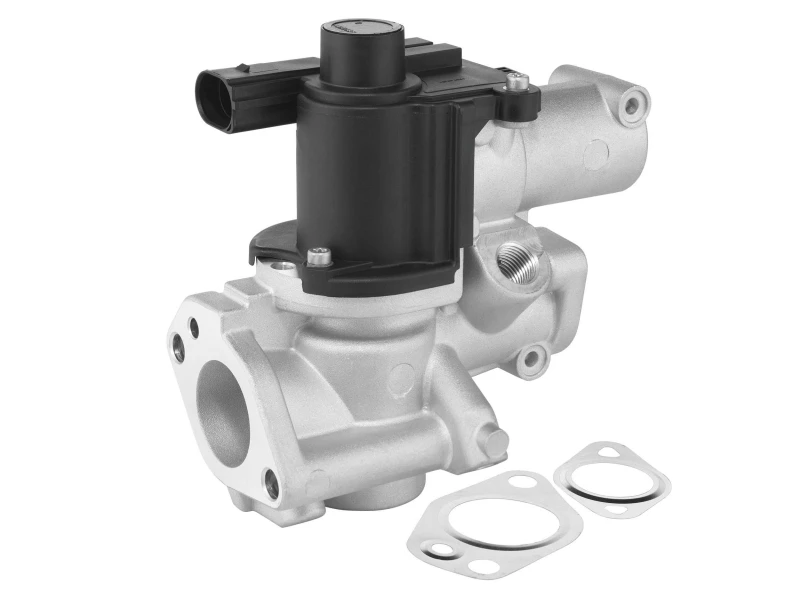 Image of EGR valve BorgWarner 729020D