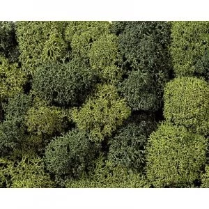 Image of NOCH 8621 Moss Light green, Dark green