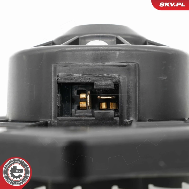 Image of ESEN SKV Blower motor ESEN SKV 68SKV203