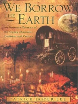 Image of We Borrow the Earth by Patrick Lee Paperback