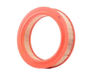 Image of FILTRON Air filter AR 284 Engine air filter,Engine filter RENAULT,4 (112_),SUPER 5 (B/C40_),RAPID Kasten (F40_, G40_),4 Kasten (R21_, R23_)