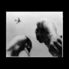 Image of Metal Bird