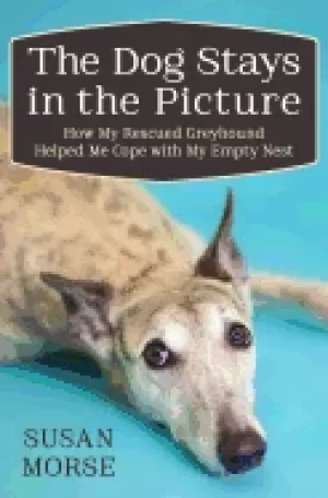 Image of dog stays in the picture