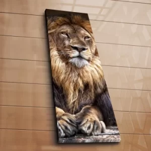 Image of 3090C-46 Multicolor Decorative Canvas Painting