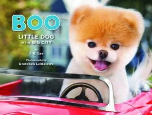 Image of Boo by J. H Lee Hardback