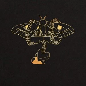 Image of David Gray - Gold In A Brass Age Vinyl