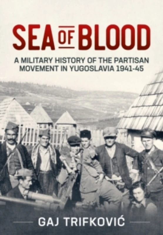 Image of Sea of Blood : A Military History of the Partisan Movement in Yugoslavia 1941-45 Paperback / softback
