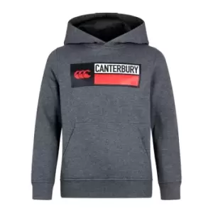 Canterbury Hoodie Juniors - Grey