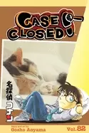 Image of case closed vol 82