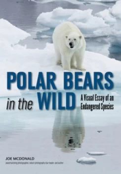 Image of Polar Bears In The Wild by Joe McDonald