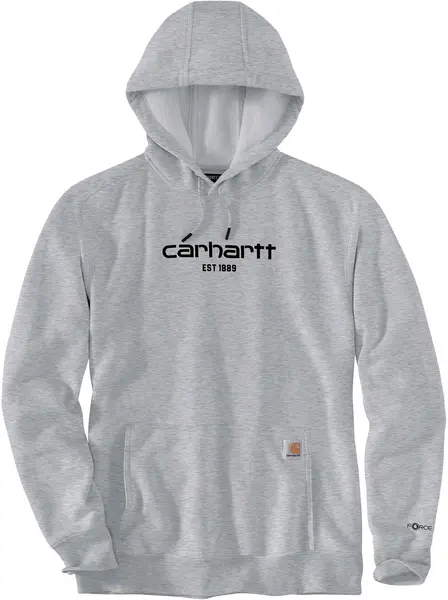 Image of Carhartt Lightweight Logo Graphic Hoodie, grey, Size L