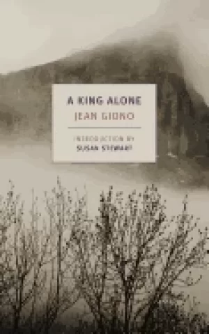 Image of king without diversion