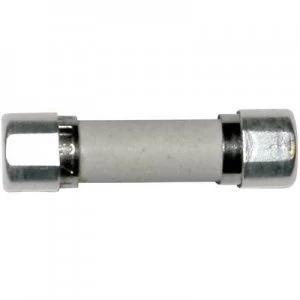 Image of ESKA 8522707 Micro fuse x L 5mm x 20 mm 0.1 A 250 V time delay T Content
