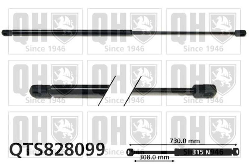 Image of QUINTON HAZELL Bonnet strut QUINTON HAZELL QTS828099