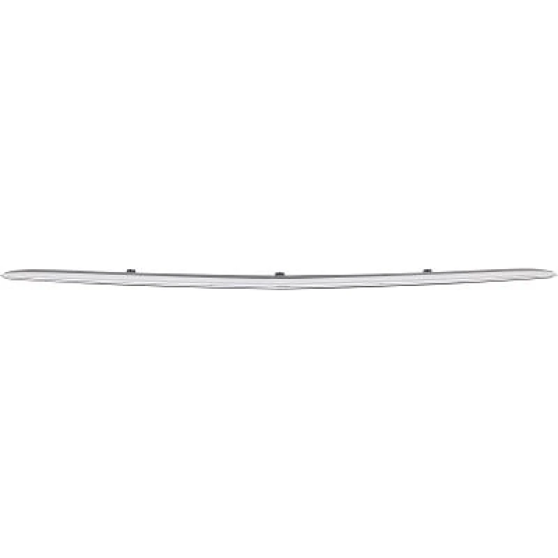 Image of Bumper moulding DIEDERICHS 1648061