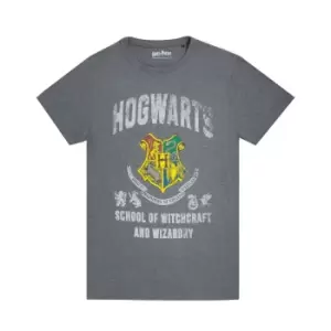 Image of Harry Potter Mens Hogwarts T-Shirt (L) (Charcoal)