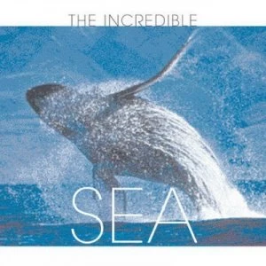 Image of The Incredible Sea by Valeria Manferto De Fabianis Hardback