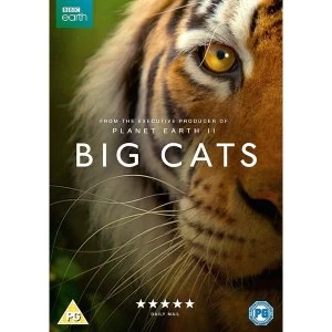 Image of Big Cats DVD