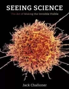 Image of Seeing Science : The Art of Making the Invisible Visible