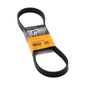 Image of CONTITECH V-ribbed belt 6PK905 EXTRA Serpentine belt,Auxiliary belt PEUGEOT,CITROEN,MINI,207 (WA_, WC_),207 CC (WD_),208 I Schragheck (CA_, CC_)
