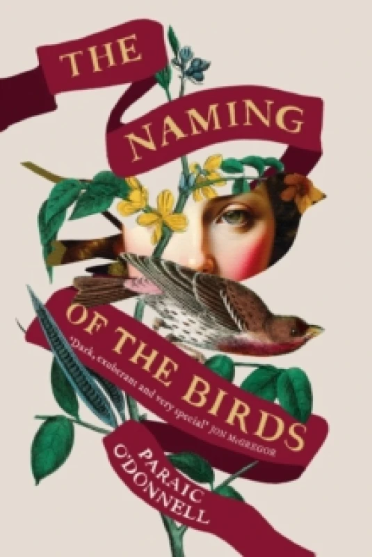 Image of The Naming of the Birds Hardback
