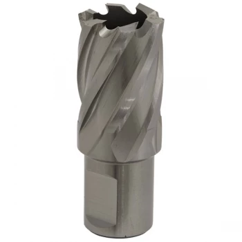 Image of Worksafe RBHSS22S Rotabor Cutter HSS Ø22mm - Cut Depth 25mm