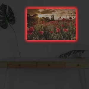 Image of 4570DHDACT-083 Multicolor Decorative LED Lighted Canvas Painting